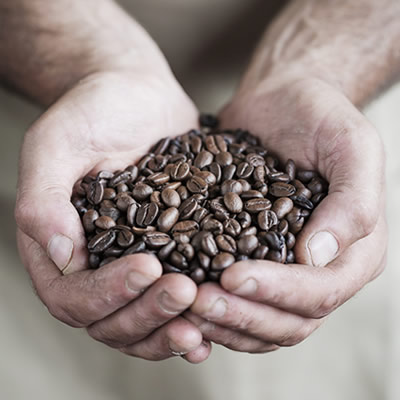 Coffee Beans