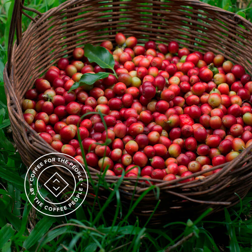 cherries-in-basket-mobile