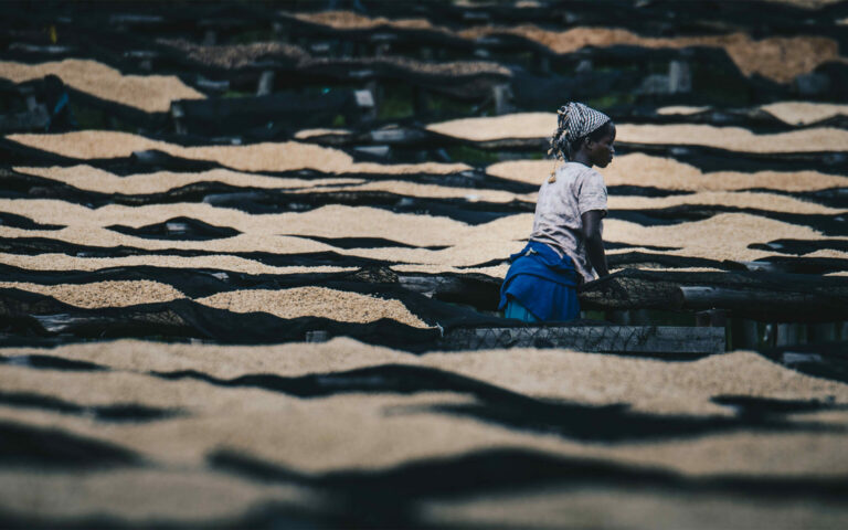 woman-on-coffee-farm