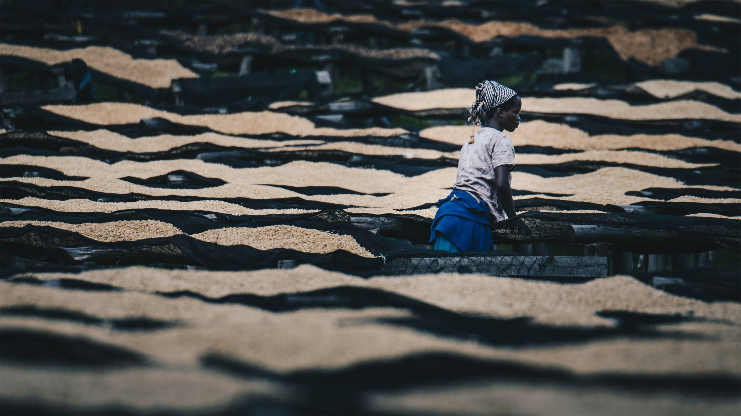 woman-on-coffee-farm