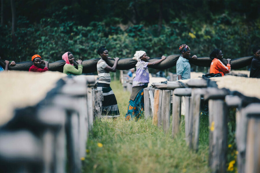 rwandan-coffee-workers