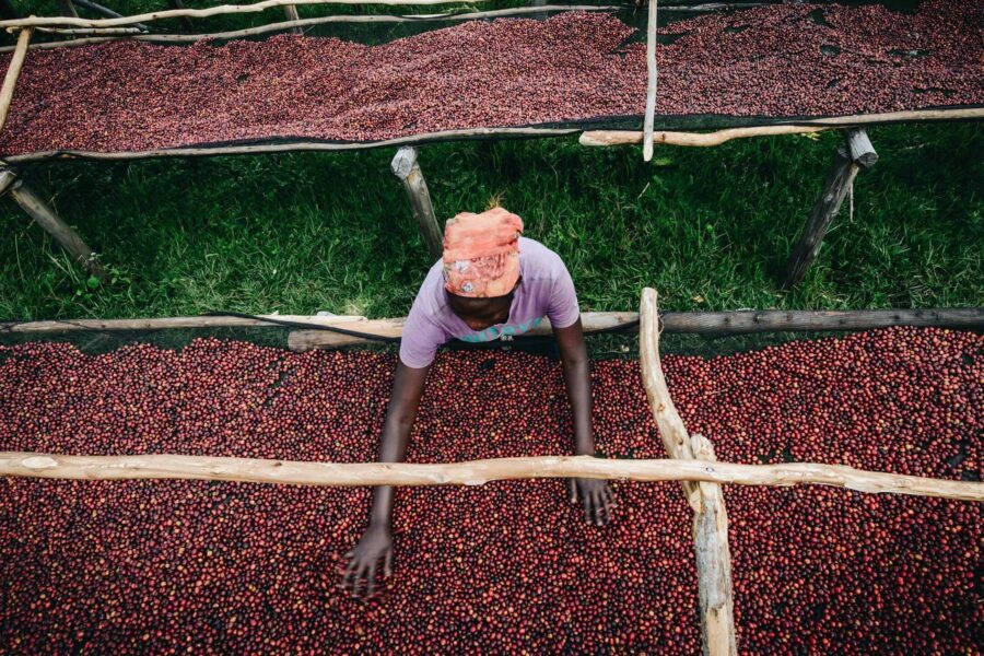 female-coffee-worker