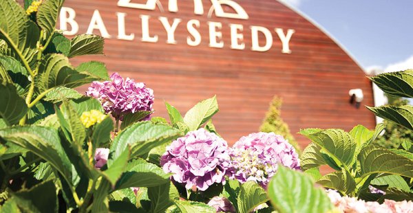 ballyseedy-home-and-garden-centre