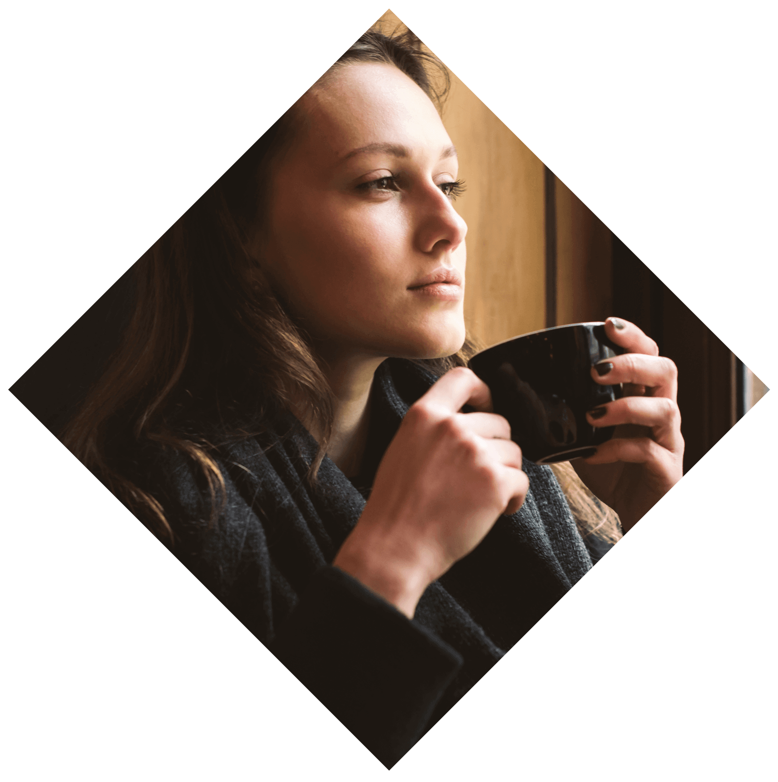 Image module