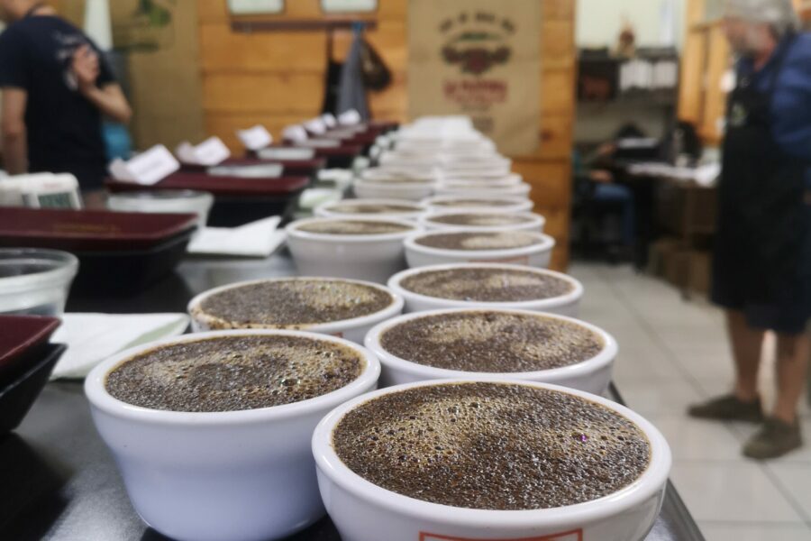 Coffee tasting in Costa Rica