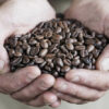 Two hands holding Java Republic premium, hand-roasted coffee
