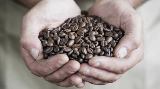 Two hands holding Java Republic premium, hand-roasted coffee