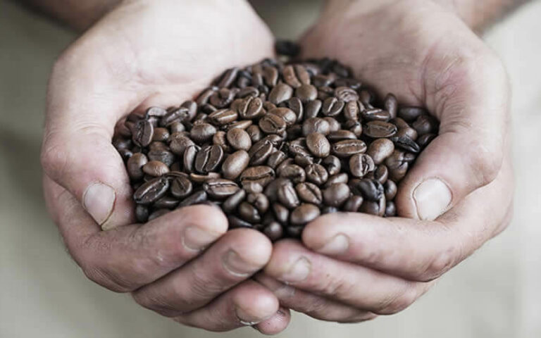 Two hands holding Java Republic premium, hand-roasted coffee