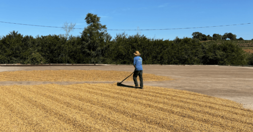 Origin Trip to Brazil – Part Two