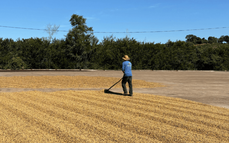 Origin Trip to Brazil – Part Two