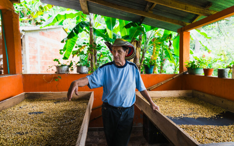 Colombia Farmer with his producer on drying beds