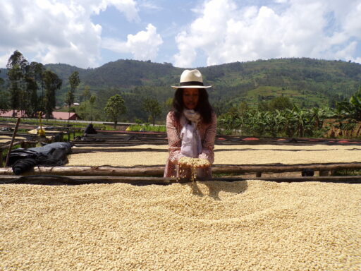 Rwanda Kinini Coffee: A Story of Community, Sustainability & Exceptional Flavour
