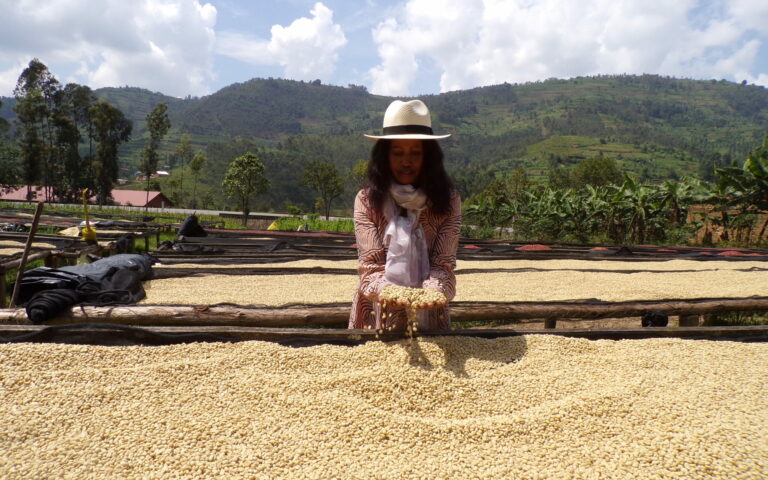 Rwanda Kinini Coffee: A Story of Community, Sustainability & Exceptional Flavour